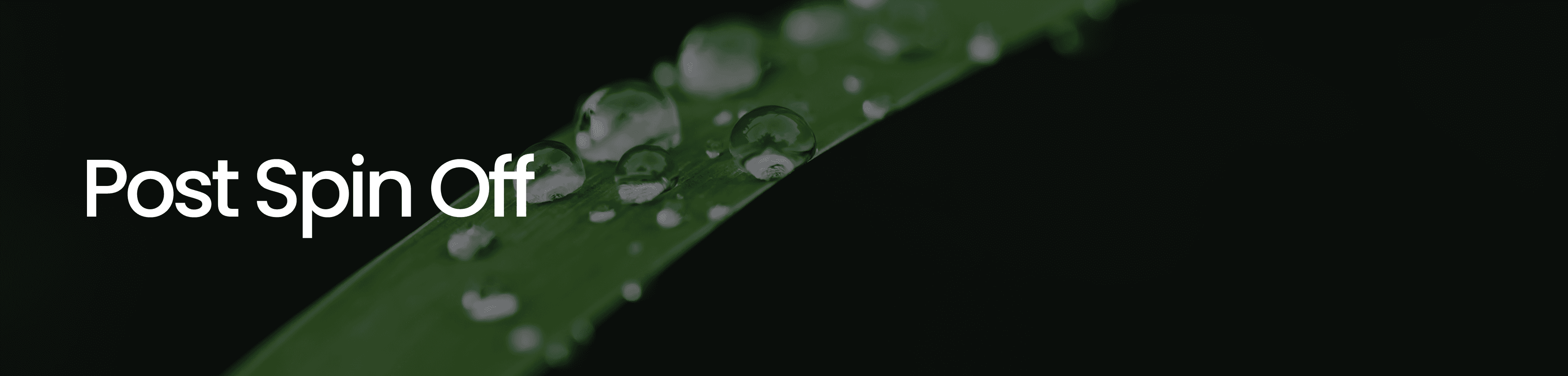 History Post Spinoff